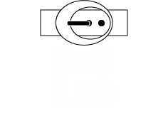 Belt Lab 